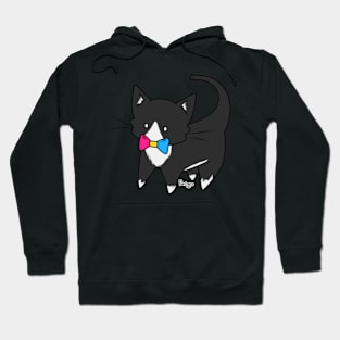 Pansexual Pride Tuxedo Kitty Hoodie